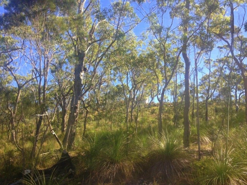 Captain Creek QLD 4677