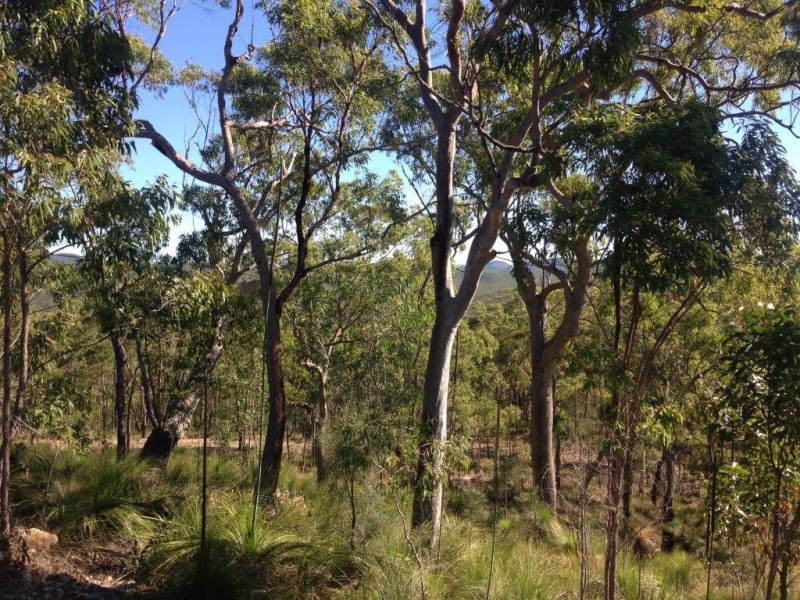 Captain Creek QLD 4677