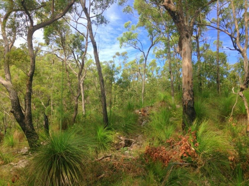 Captain Creek QLD 4677