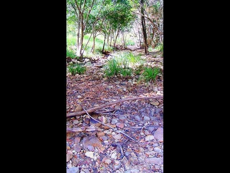 Lot 56, 670 Creevey Drive, Captain Creek QLD 4677