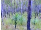 Lot 56, 670 Creevey Drive, Captain Creek QLD 4677