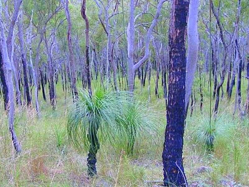 Lot 56, 670 Creevey Drive, Captain Creek QLD 4677