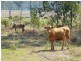 44014 Bruce Highway, Miriam Vale QLD 4677
