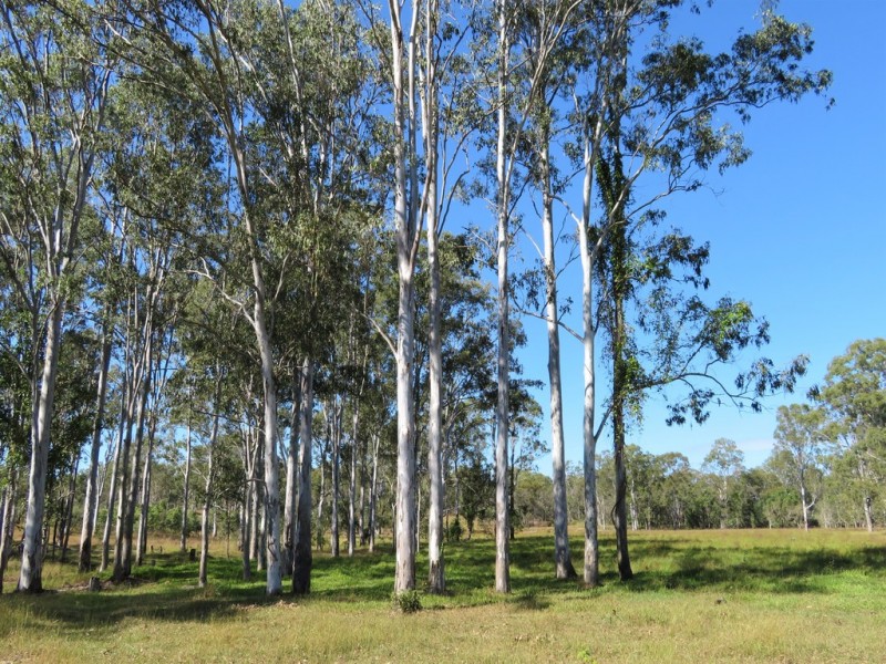 44014 Bruce Highway, Miriam Vale QLD 4677