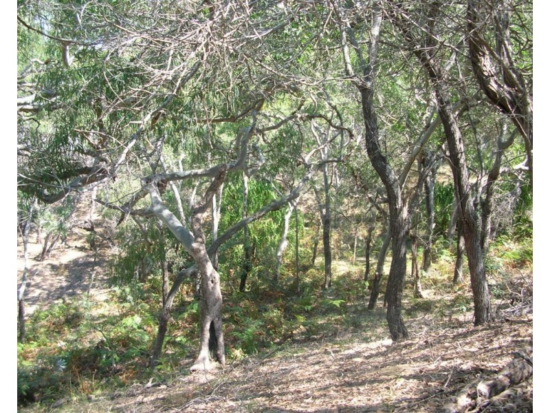 L2 Kate Avenue, Deepwater QLD 4674