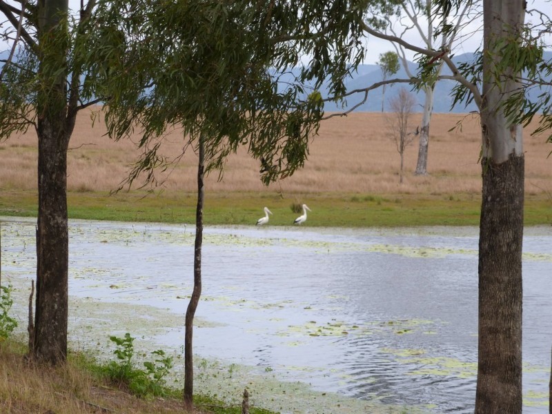 Lot 187 Redhill Road, Bororen QLD 4678