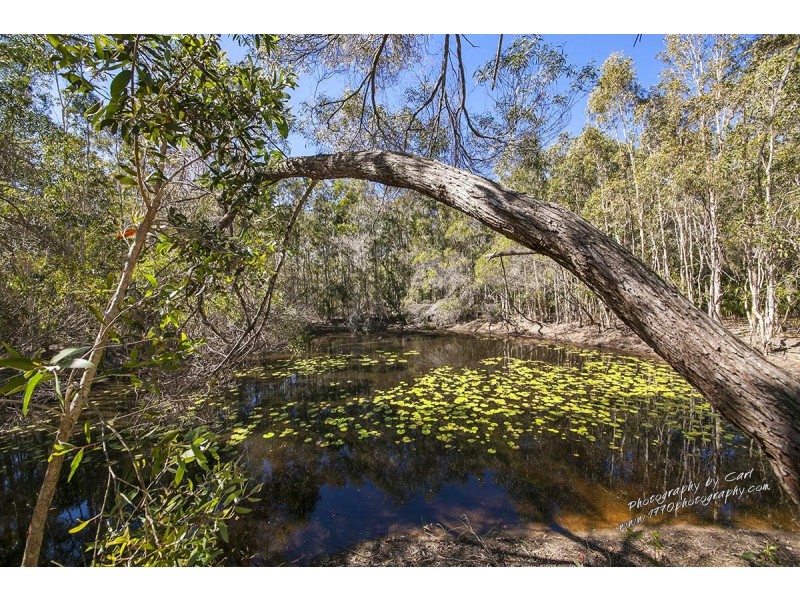 519 Anderson Way, Agnes Water QLD 4677