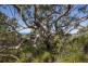 444 Jobson Rd, Agnes Water QLD 4677