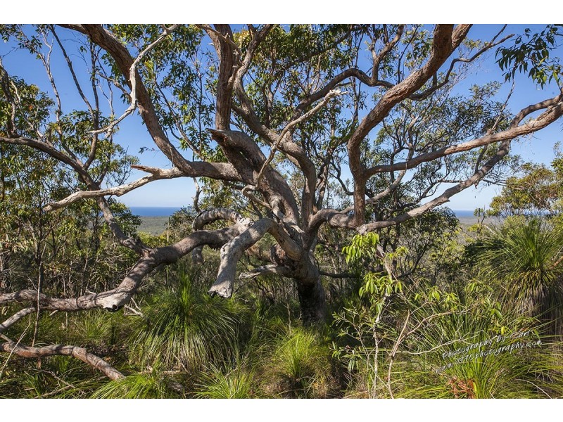 444 Jobson Rd, Agnes Water QLD 4677