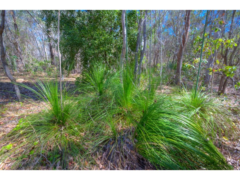 311 Innamincka Way, Agnes Water QLD 4677