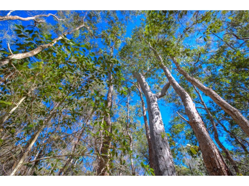 311 Innamincka Way, Agnes Water QLD 4677