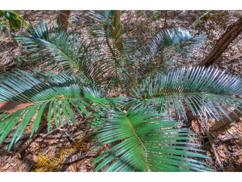 311 Innamincka Way, Agnes Water QLD 4677