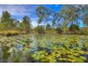 Lot 483 Anderson Way, Agnes Water QLD 4677