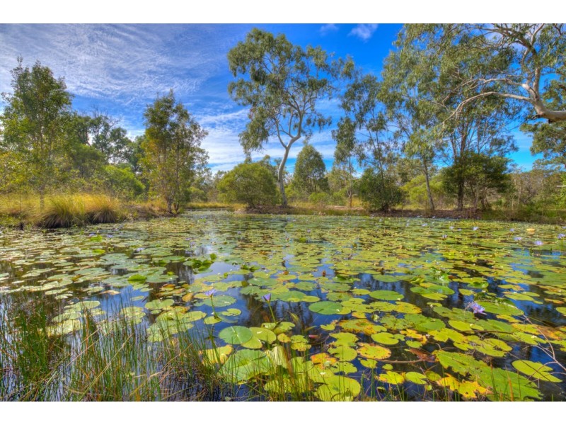 Lot 483 Anderson Way, Agnes Water QLD 4677