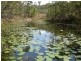 1272 Tableland Road, Mount Maria QLD 4674