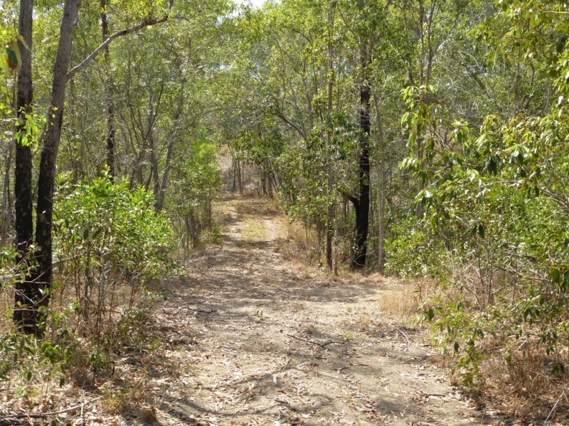 1272 Tableland Road, Mount Maria QLD 4674