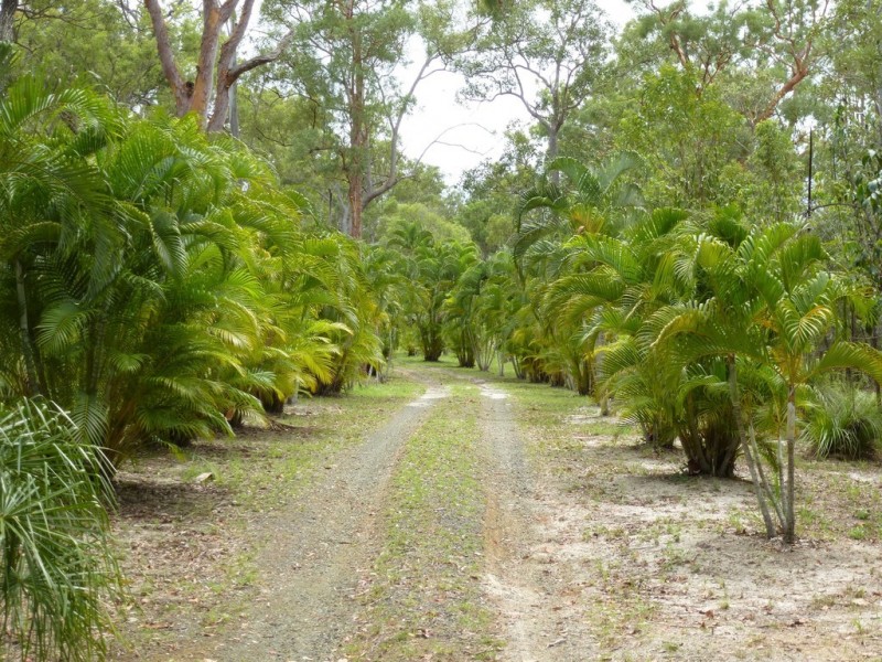 62 Mitchell Road, Mount Maria QLD 4674