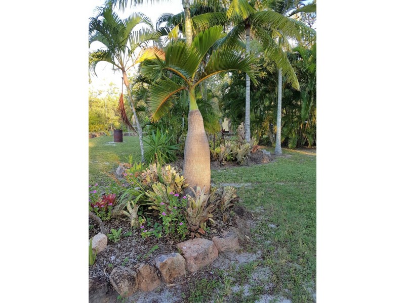 62 Mitchell Road, Mount Maria QLD 4674