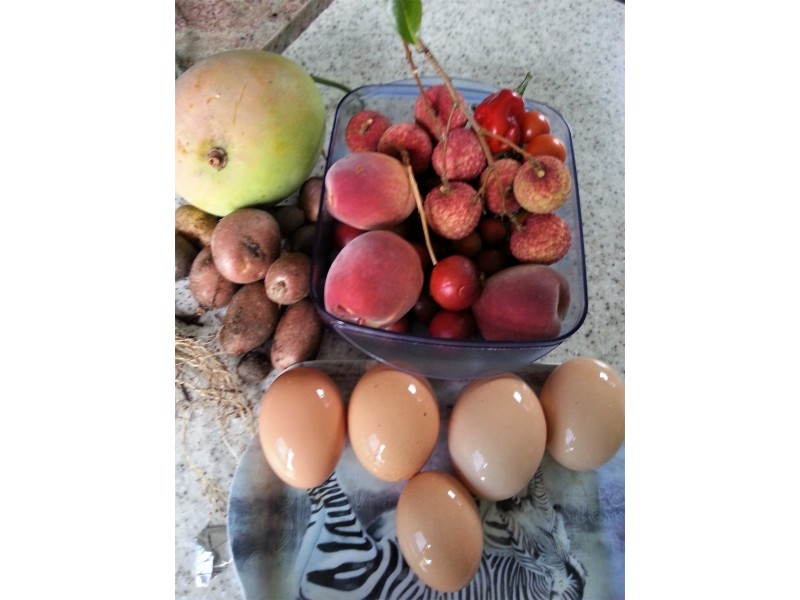 62 Mitchell Road, Mount Maria QLD 4674