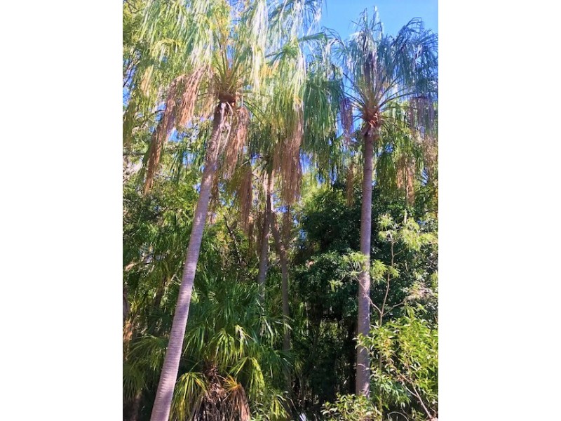 9 Lady Musgrave Ct, Agnes Water QLD 4677