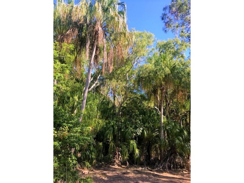 9 Lady Musgrave Ct, Agnes Water QLD 4677