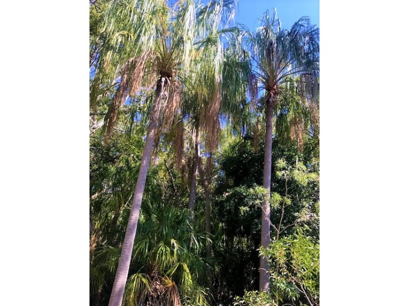 9 Lady Musgrave Ct, Agnes Water QLD 4677