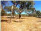 Lot 174 Lady Elliot Drive, Agnes Water QLD 4677