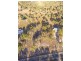 Lot 174 Lady Elliot Drive, Agnes Water QLD 4677