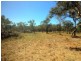 Lot 174 Lady Elliot Drive, Agnes Water QLD 4677