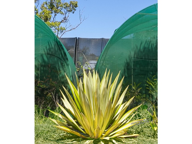 220 Bicentennial Drive, Agnes Water QLD 4677