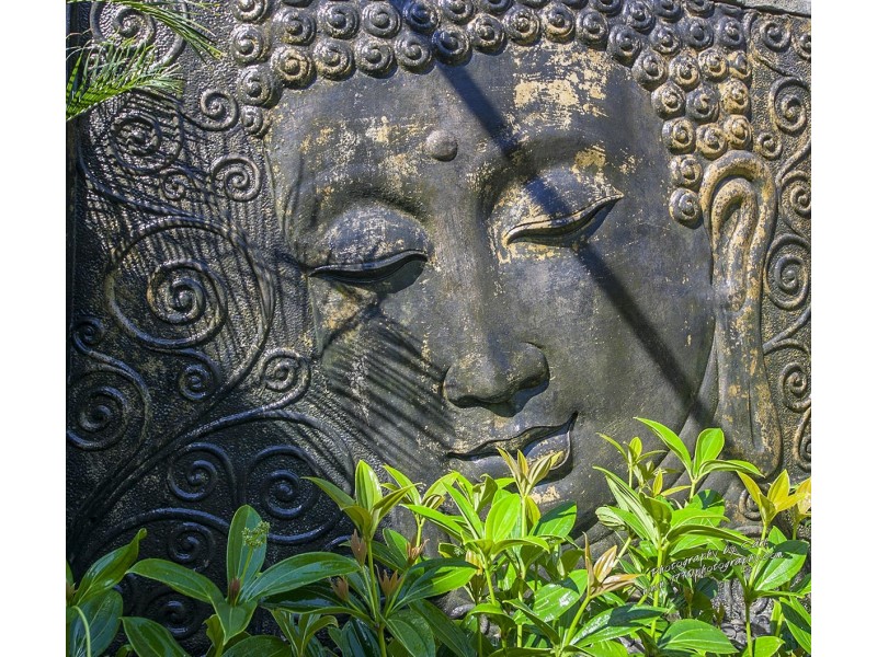 220 Bicentennial Drive, Agnes Water QLD 4677