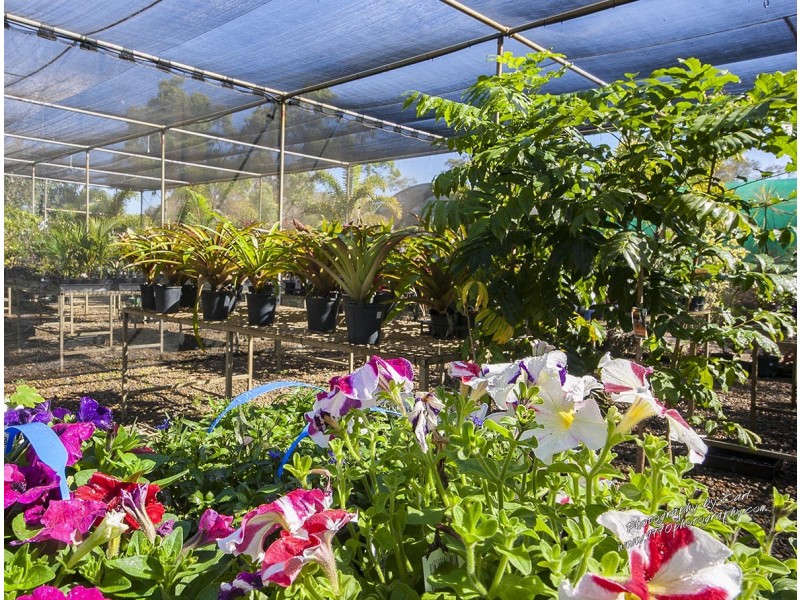 220 Bicentennial Drive, Agnes Water QLD 4677