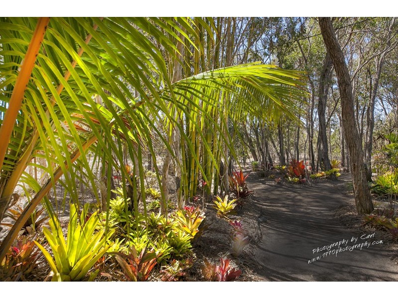 220 Bicentennial Drive, Agnes Water QLD 4677