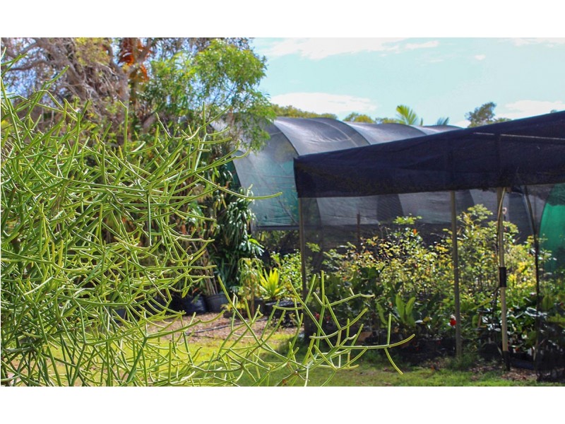 220 Bicentennial Drive, Agnes Water QLD 4677