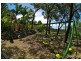 14 Webster Court, Agnes Water QLD 4677