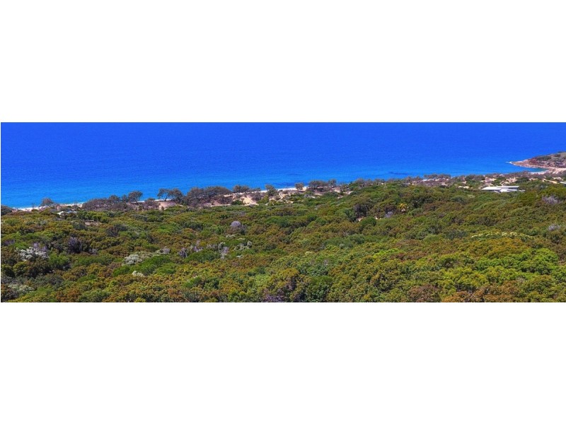 lot 99 Bloodwood Avenue, Agnes Water QLD 4677