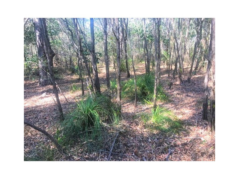 301 Masthead Drive, Agnes Water QLD 4677