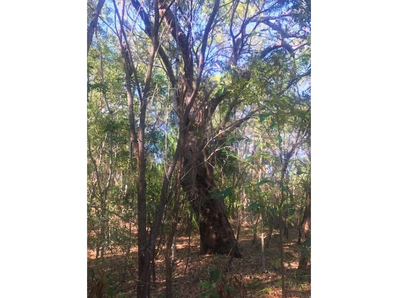 301 Masthead Drive, Agnes Water QLD 4677