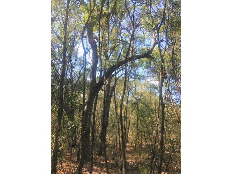 301 Masthead Drive, Agnes Water QLD 4677