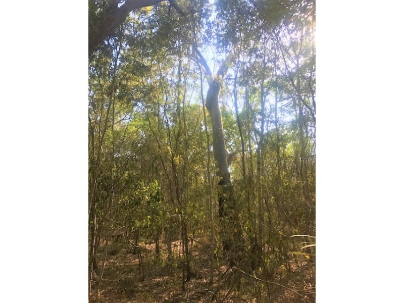 301 Masthead Drive, Agnes Water QLD 4677