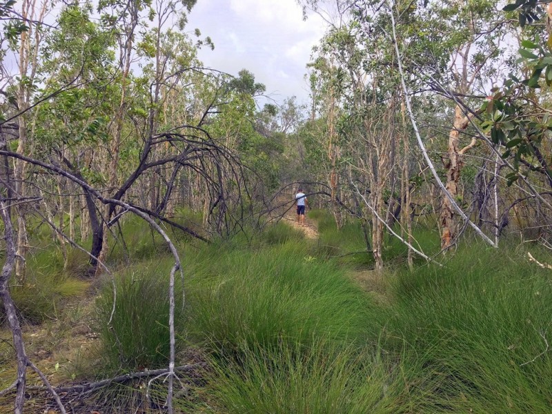 158 Bunker Road, Round Hill QLD 4677