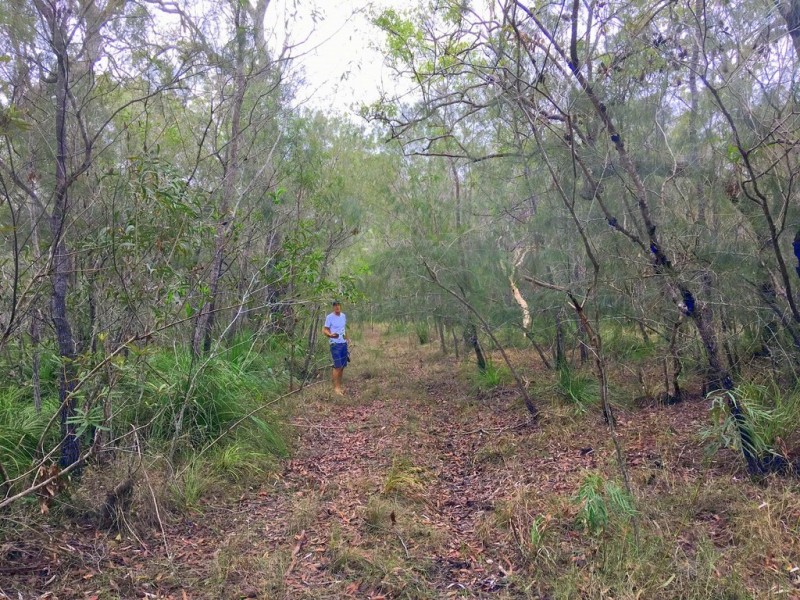 158 Bunker Road, Round Hill QLD 4677