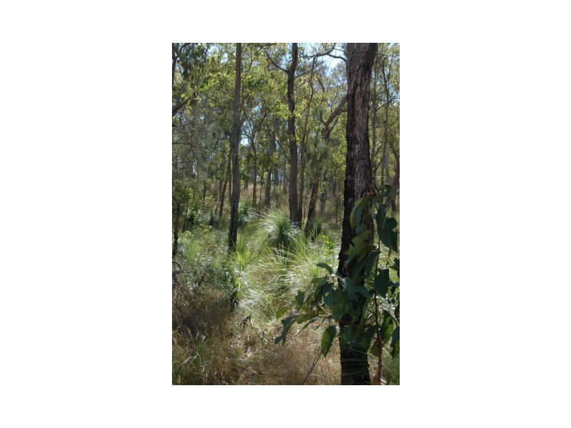 158 Bunker Road, Round Hill QLD 4677