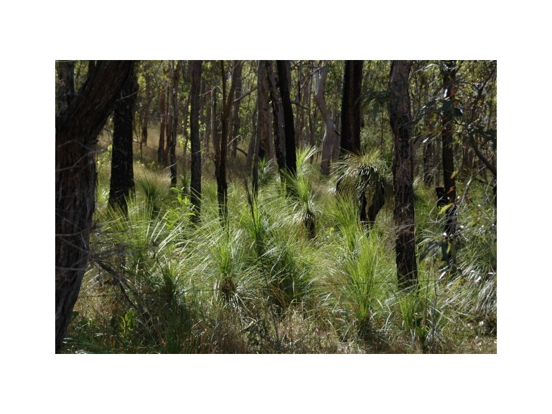 158 Bunker Road, Round Hill QLD 4677