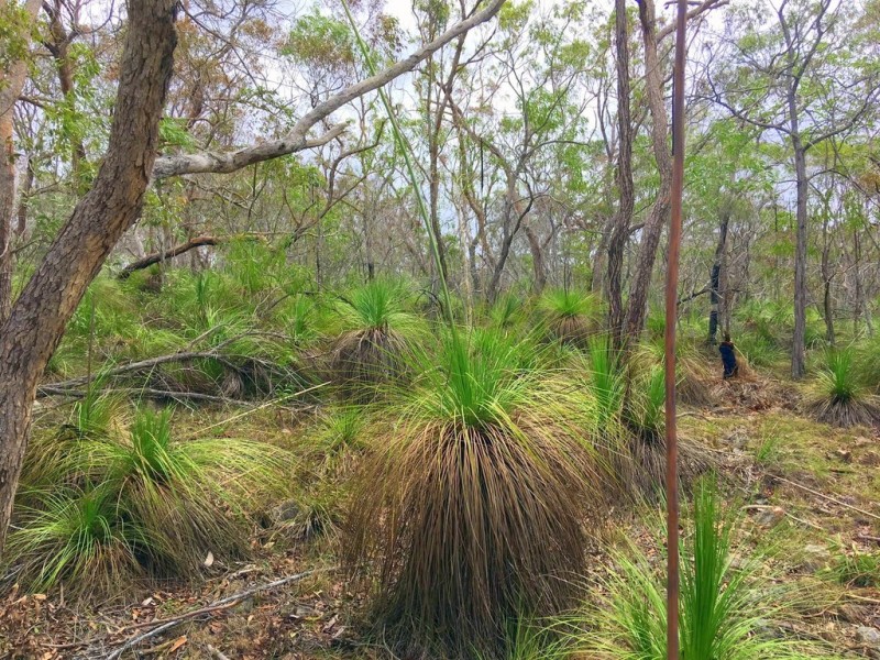 158 Bunker Road, Round Hill QLD 4677
