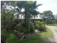 39 Allingham Way, Agnes Water QLD 4677