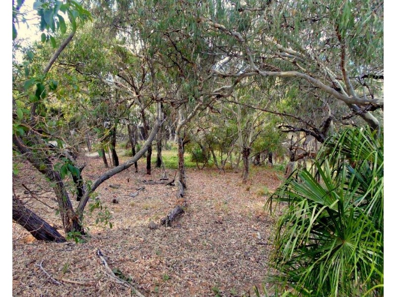 Agnes Water QLD 4677