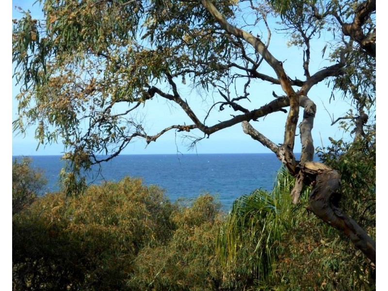 Agnes Water QLD 4677