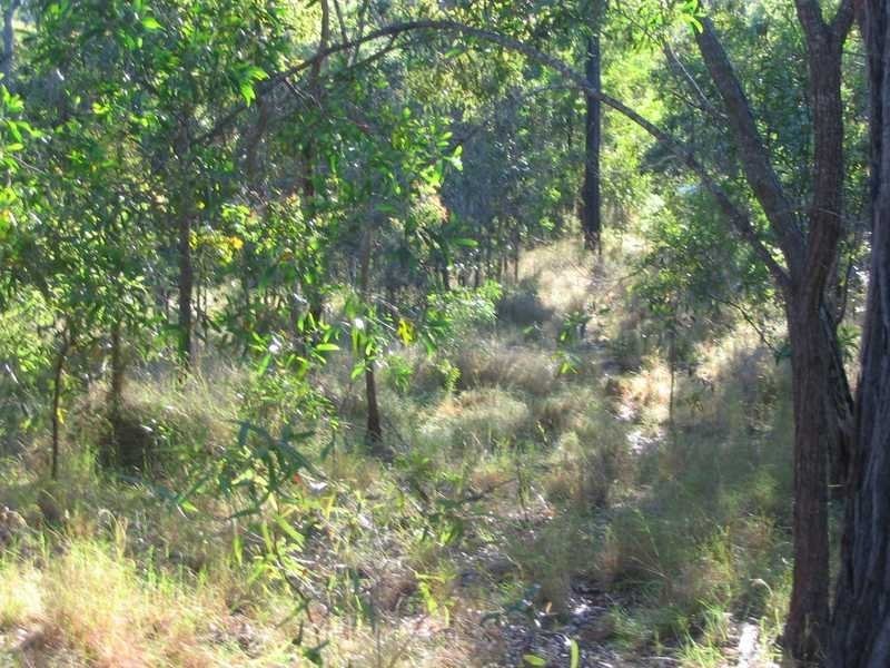 Lot 212, 427 Davies Road, Agnes Water QLD 4677