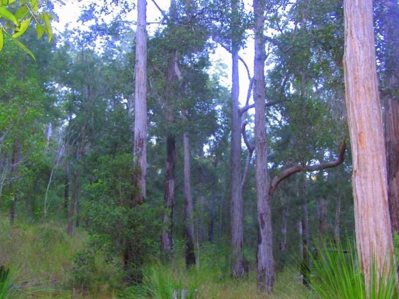 Lot 212, 427 Davies Road, Agnes Water QLD 4677
